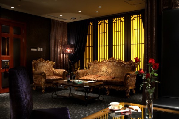 古树茶韵，穿越千年的味道